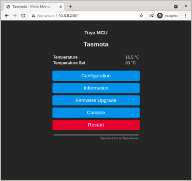 Configured Tasmota Screen